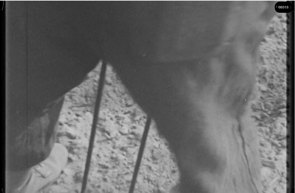 16mm b&w film shot in camp Westerbork in 1944, today known as Westerbork film, public domain