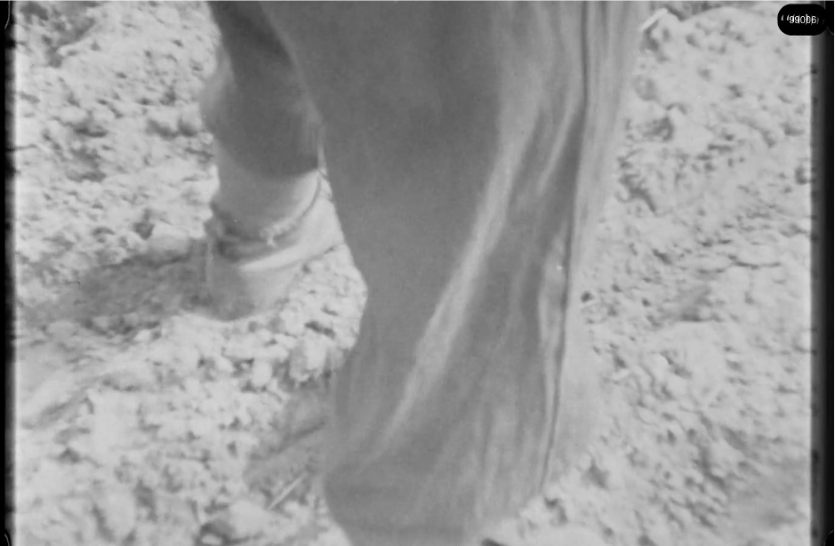 16mm b&w film shot in camp Westerbork in 1944, today known as Westerbork film, public domain