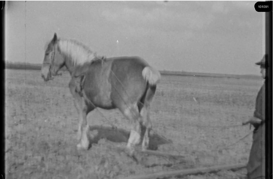 16mm b&w film shot in camp Westerbork in 1944, today known as Westerbork film, public domain