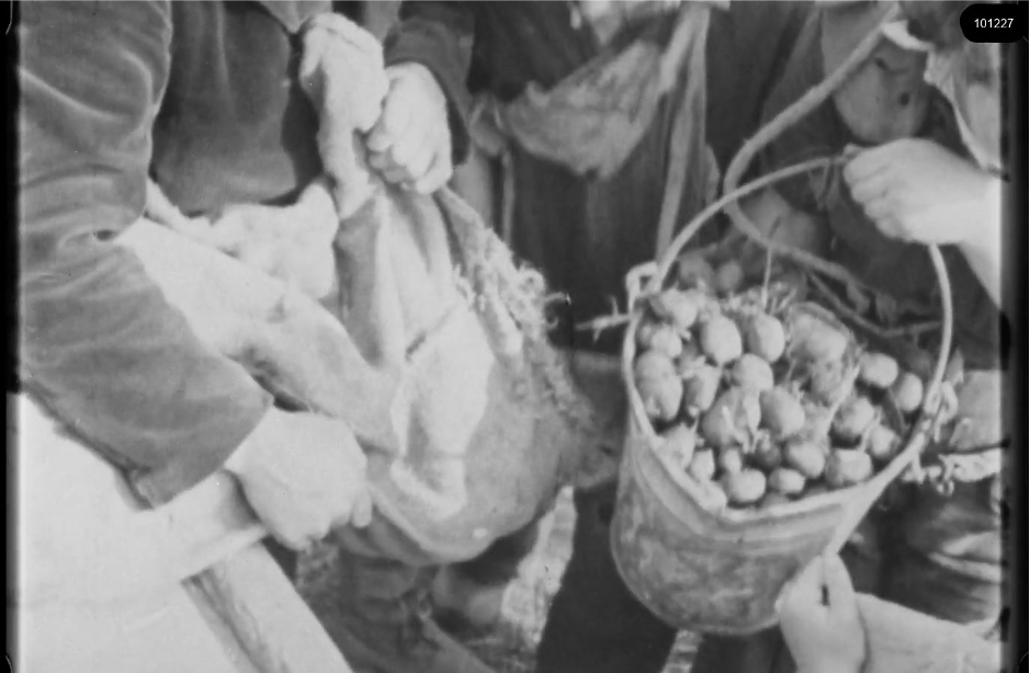 16mm b&w film shot in camp Westerbork in 1944, today known as Westerbork film, public domain