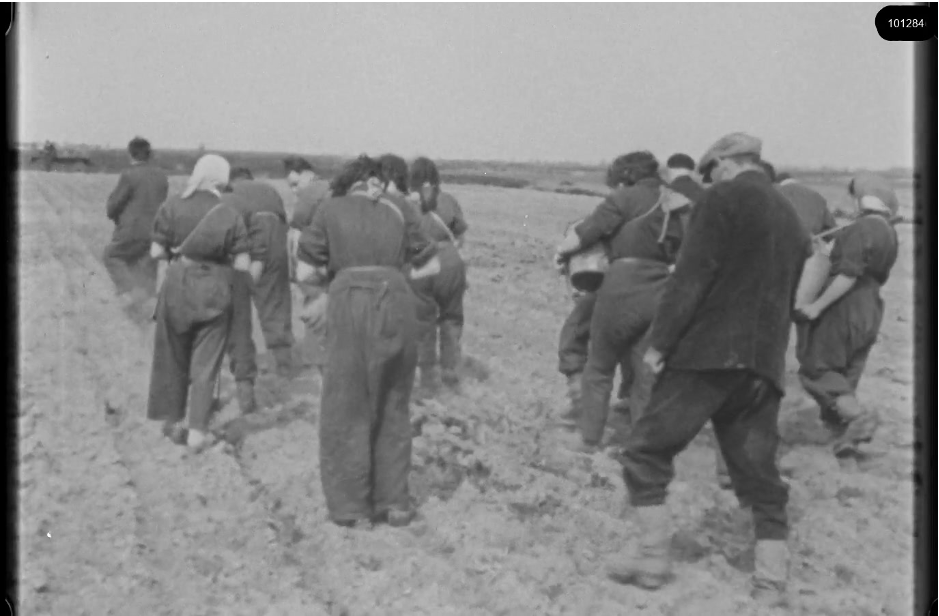 16mm b&w film shot in camp Westerbork in 1944, today known as Westerbork film, public domain