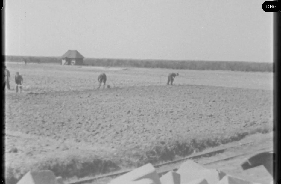 16mm b&w film shot in camp Westerbork in 1944, today known as Westerbork film, public domain