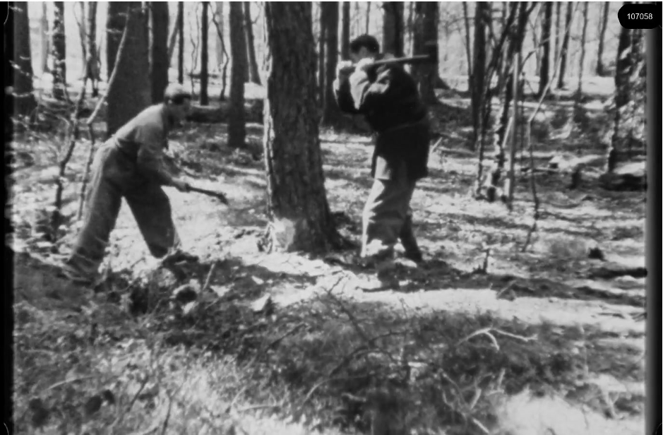 16mm b&w film shot in camp Westerbork in 1944, today known as Westerbork film, public domain