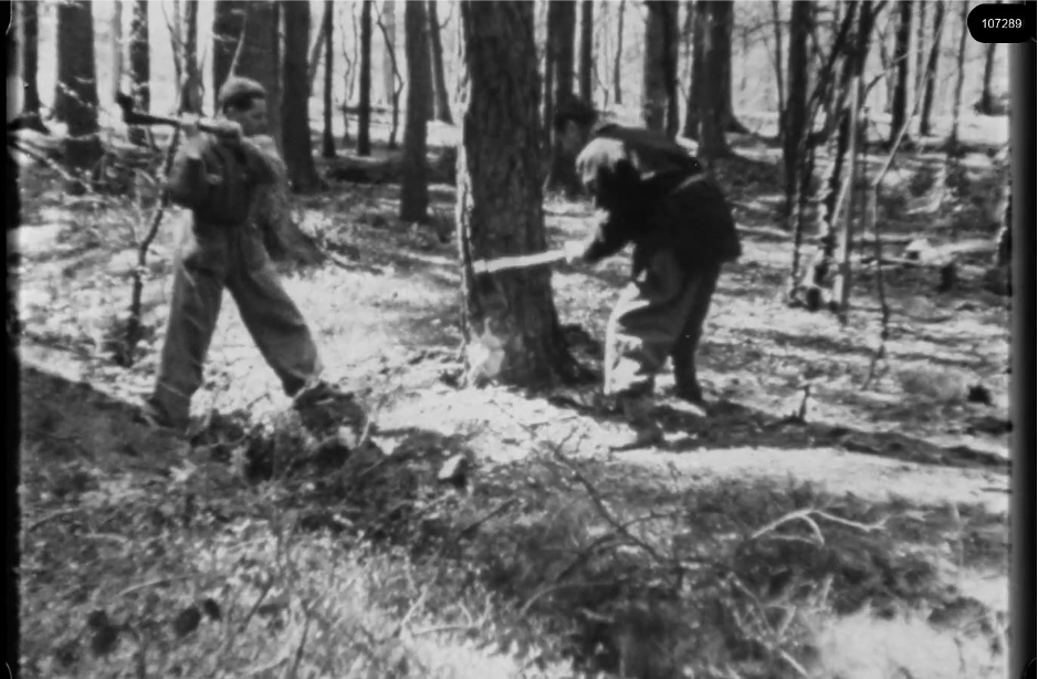 16mm b&w film shot in camp Westerbork in 1944, today known as Westerbork film, public domain