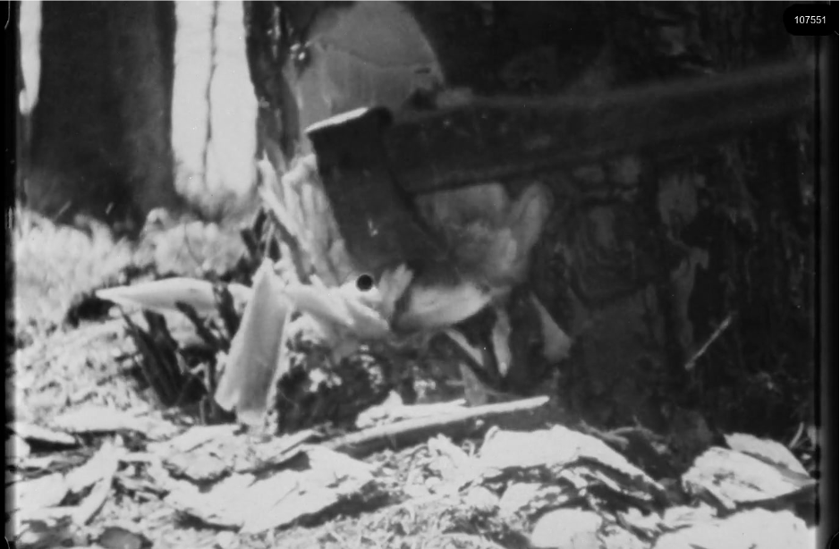 16mm b&w film shot in camp Westerbork in 1944, today known as Westerbork film, public domain