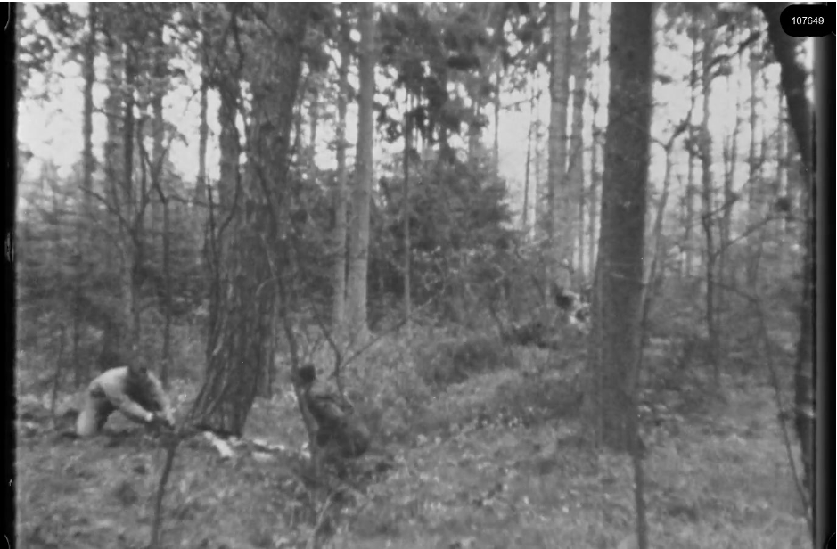 16mm b&w film shot in camp Westerbork in 1944, today known as Westerbork film, public domain