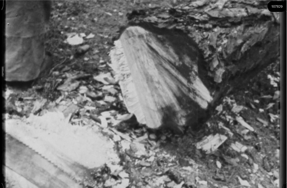 16mm b&w film shot in camp Westerbork in 1944, today known as Westerbork film, public domain