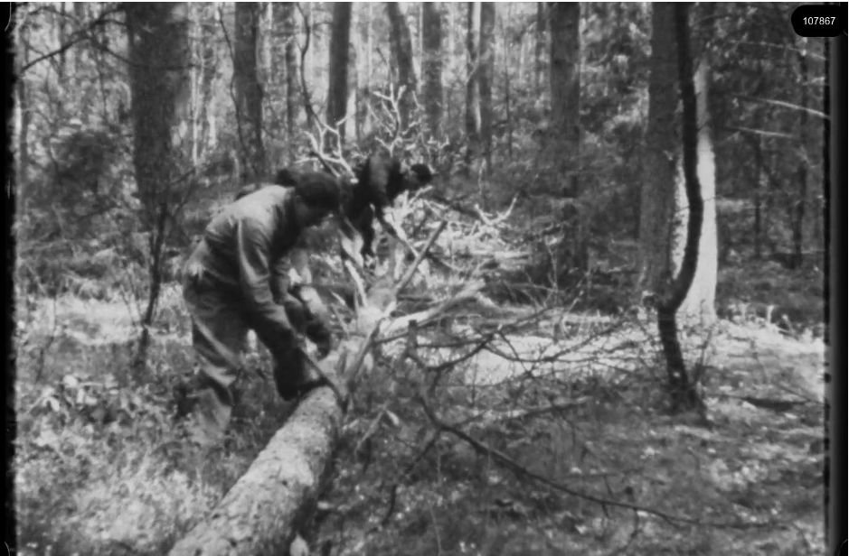 16mm b&w film shot in camp Westerbork in 1944, today known as Westerbork film, public domain