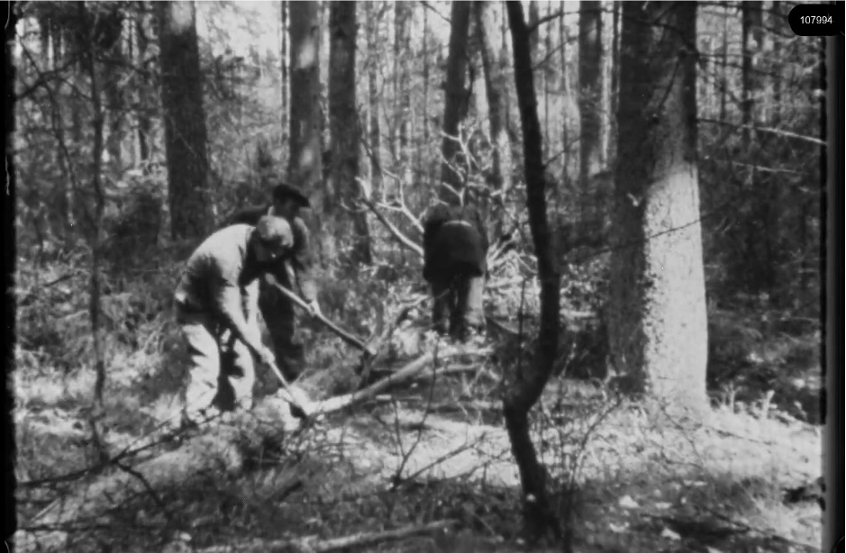 16mm b&w film shot in camp Westerbork in 1944, today known as Westerbork film, public domain