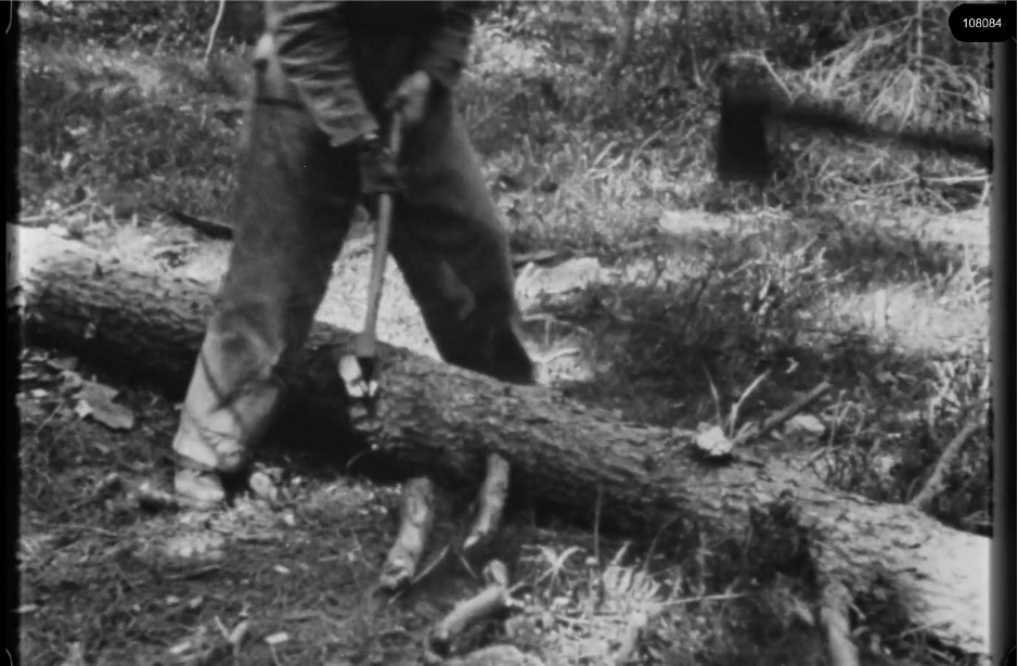 16mm b&w film shot in camp Westerbork in 1944, today known as Westerbork film, public domain