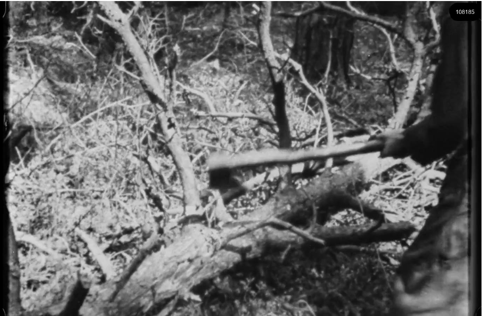 16mm b&w film shot in camp Westerbork in 1944, today known as Westerbork film, public domain