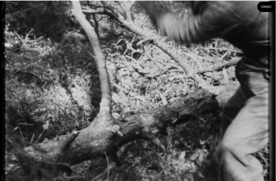 16mm b&w film shot in camp Westerbork in 1944, today known as Westerbork film, public domain