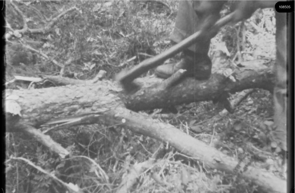 16mm b&w film shot in camp Westerbork in 1944, today known as Westerbork film, public domain