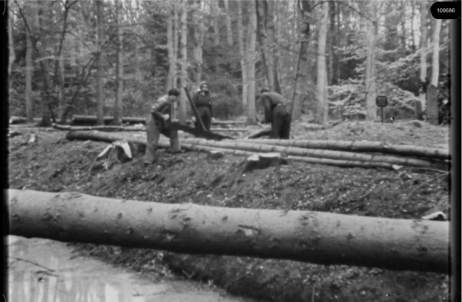 16mm b&w film shot in camp Westerbork in 1944, today known as Westerbork film, public domain