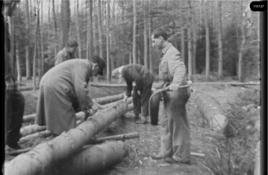 16mm b&w film shot in camp Westerbork in 1944, today known as Westerbork film, public domain