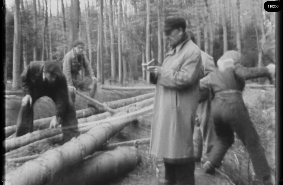 16mm b&w film shot in camp Westerbork in 1944, today known as Westerbork film, public domain