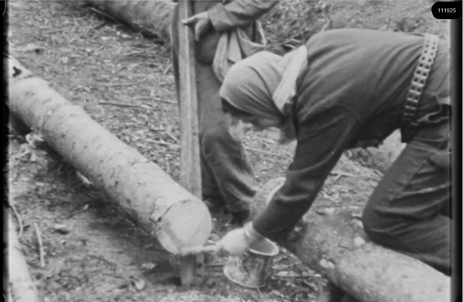 16mm b&w film shot in camp Westerbork in 1944, today known as Westerbork film, public domain