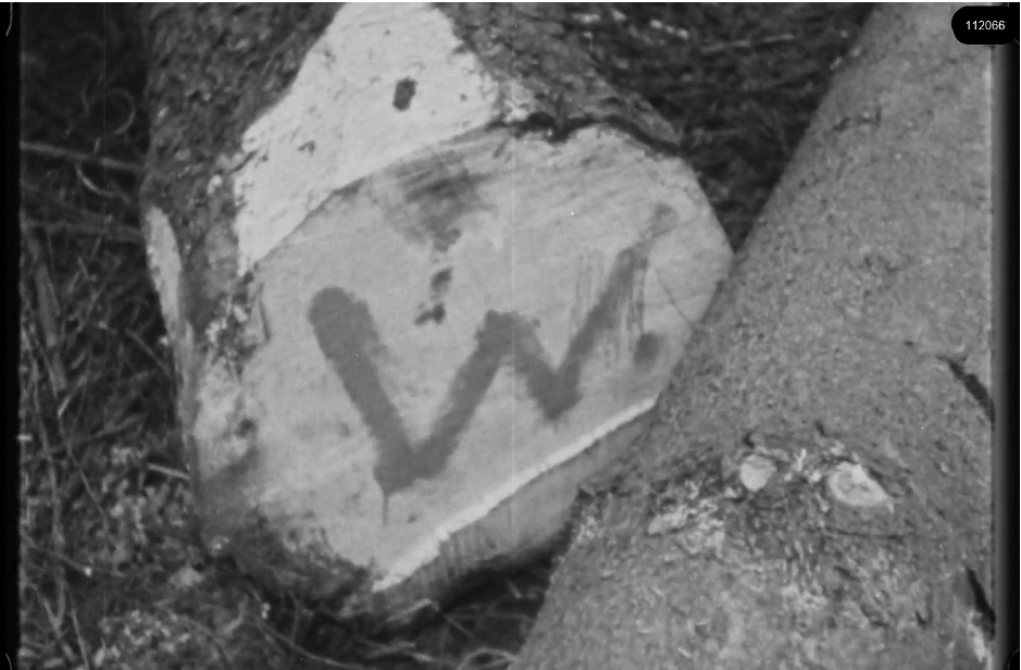 16mm b&w film shot in camp Westerbork in 1944, today known as Westerbork film, public domain