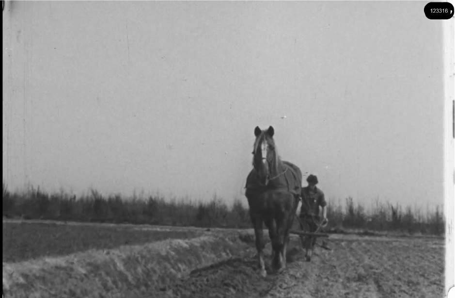 16mm b&w film shot in camp Westerbork in 1944, today known as Westerbork film, public domain