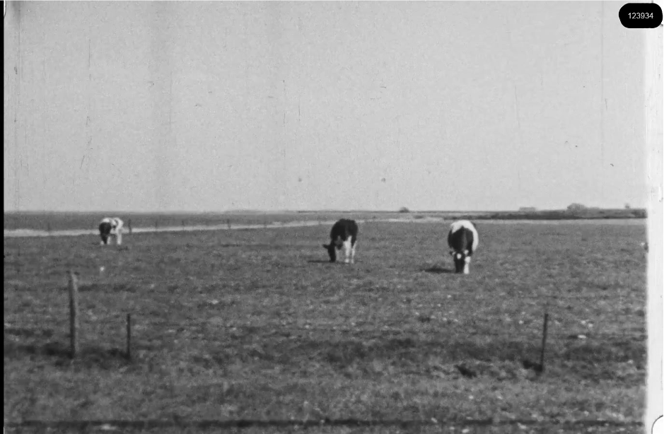 16mm b&w film shot in camp Westerbork in 1944, today known as Westerbork film, public domain