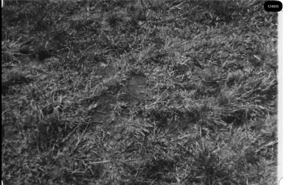 16mm b&w film shot in camp Westerbork in 1944, today known as Westerbork film, public domain