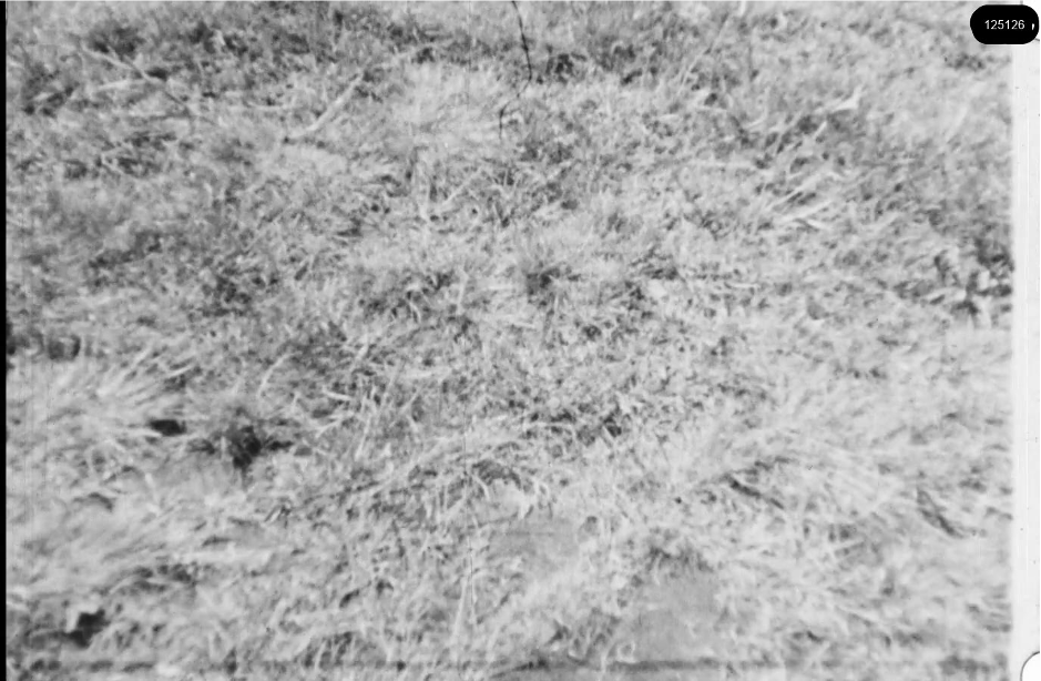 16mm b&w film shot in camp Westerbork in 1944, today known as Westerbork film, public domain