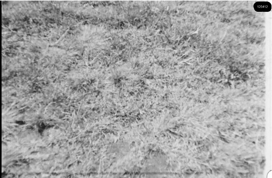 16mm b&w film shot in camp Westerbork in 1944, today known as Westerbork film, public domain