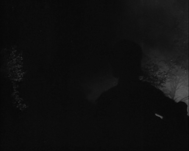 National Socialist propaganda film shot and edited by Leni Riefenstahl in 1935, 35mm b&w silent and sound film